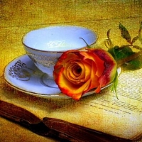 Gonzalez Palacio, Ana